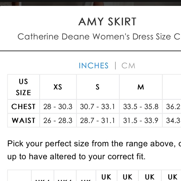 NEW Catherine Deane Satin Skirt - Amy - Picture 10 of 11